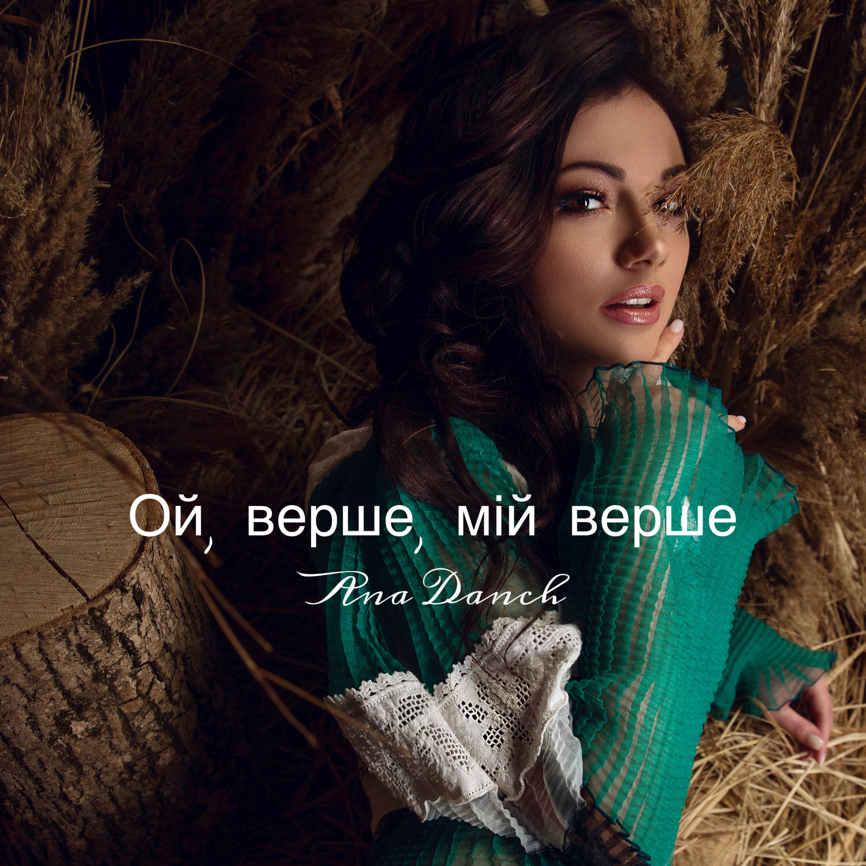 Official cover artwork for the single Ой, верше, мій верше by Ana Danch